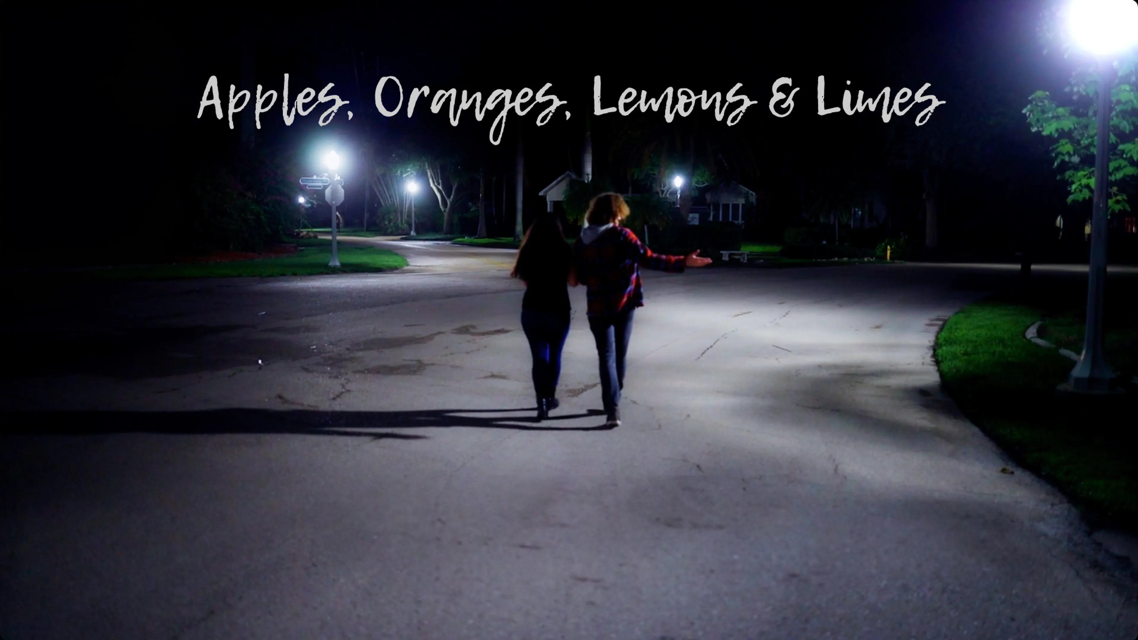 Apples, Oranges, Lemons & Limes poster